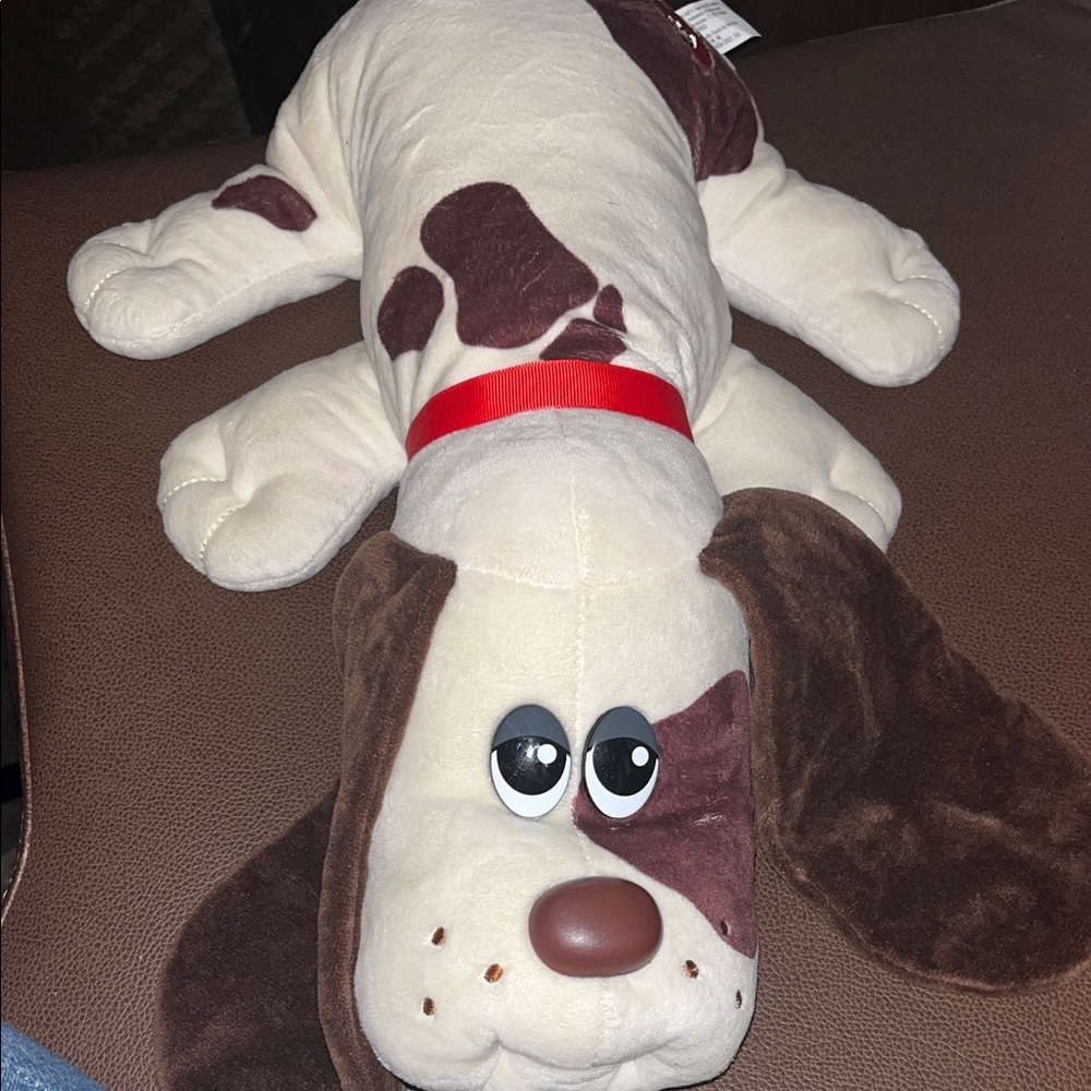 Pound puppies 2021